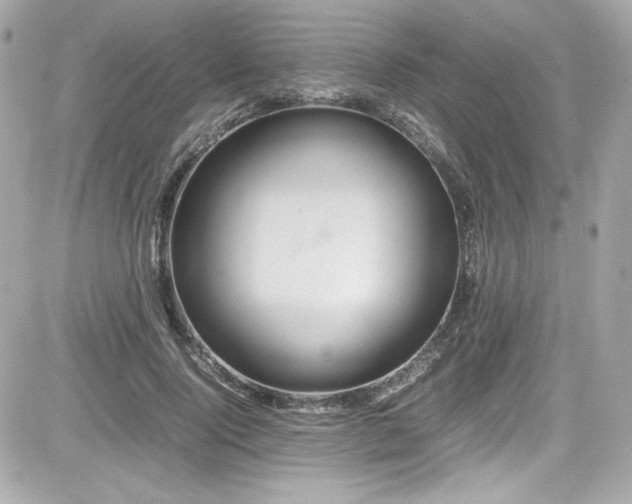 X0000081590740200701221052