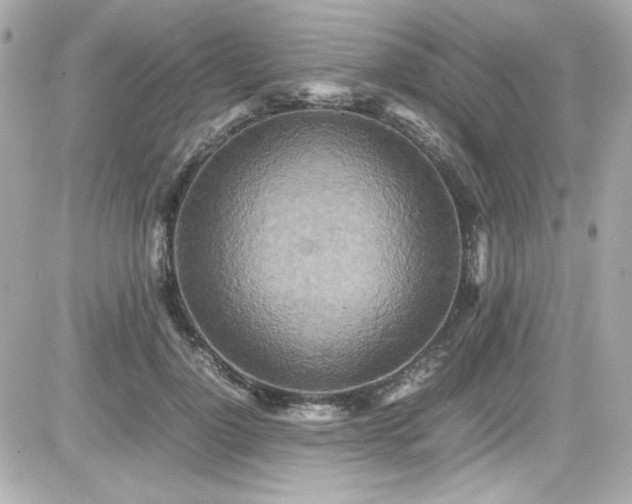 X0000081590748200701221052