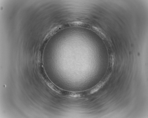 X0000081590760200701221053