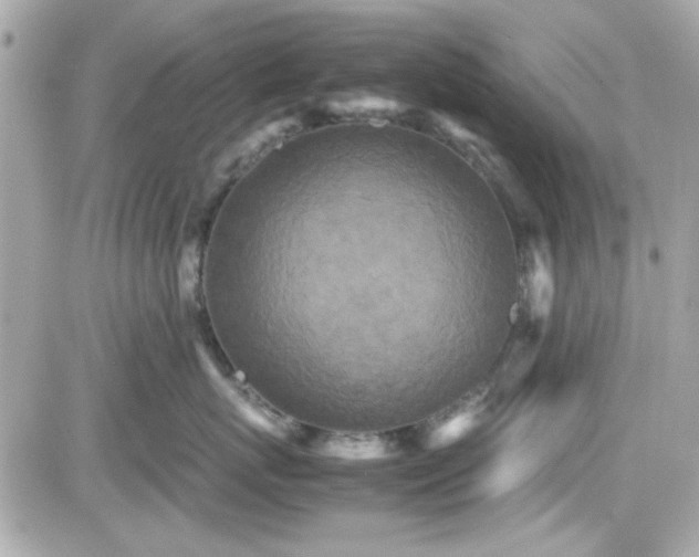 X0000081590767200701221053