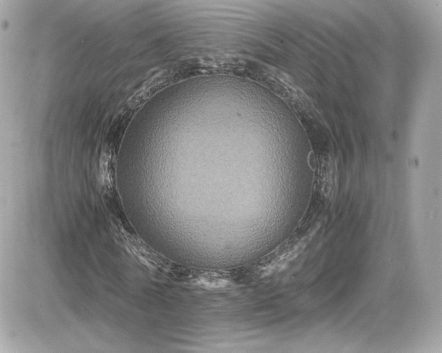 X0000081590770200701221052