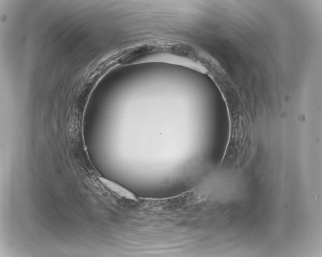X0000081590773200701221052