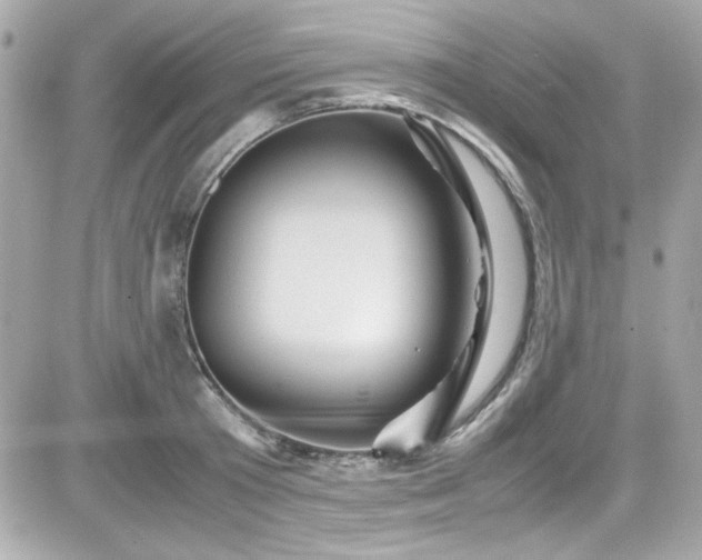 X0000081590801200701221051