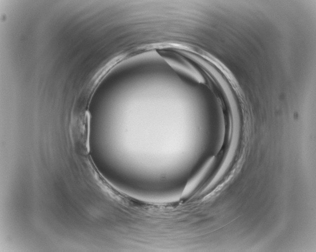X0000081590809200701221051