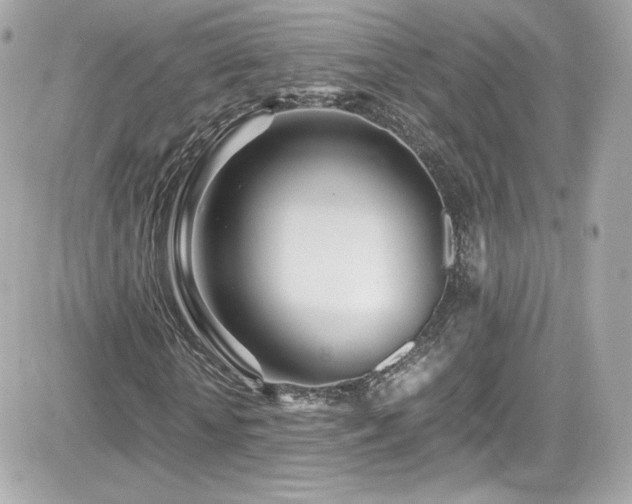 X0000081590818200701221050