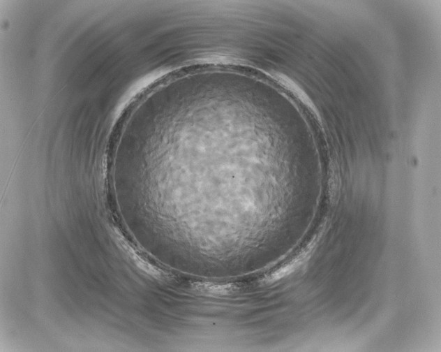 X0000081590831200701221051