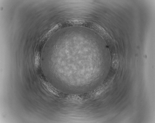 X0000081590866200701221050