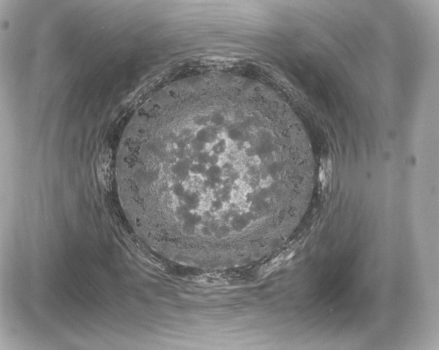 X0000081590867200701221050
