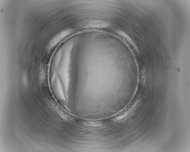 X0000081590874200701221050