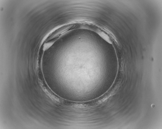 X0000081590880200701221050