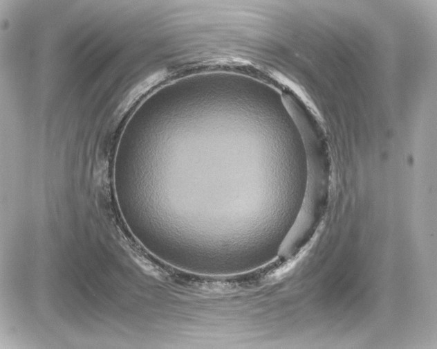 X0000081590881200701221050