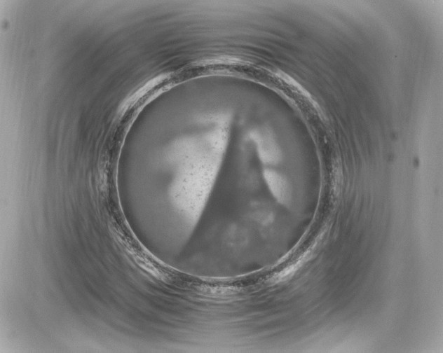 X0000081590921200701221049
