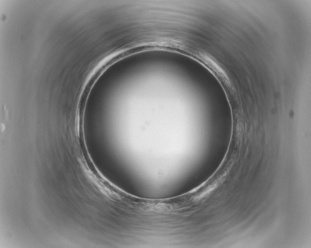 X0000081590940200701221049