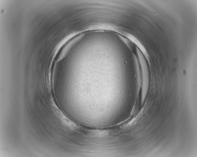 X0000081590996200701221048
