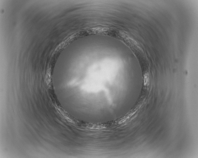 X0000081591011200701221047