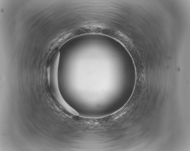 X0000081591014200701221047