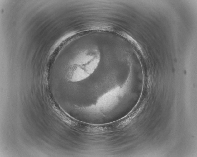 X0000081591019200701221047