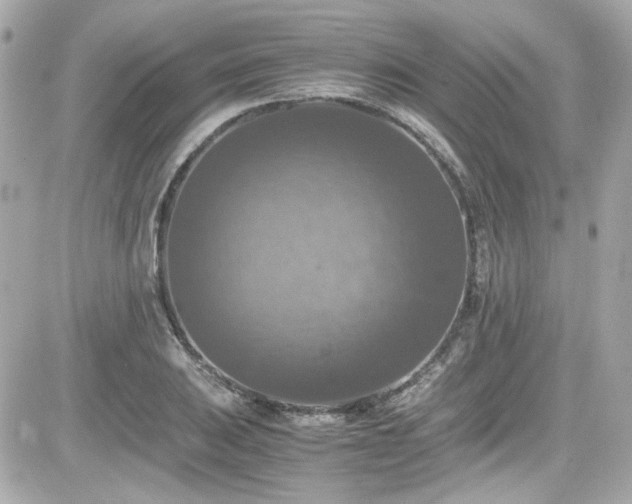 X0000081591031200701221048
