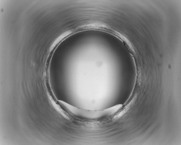 X0000081591042200701221048