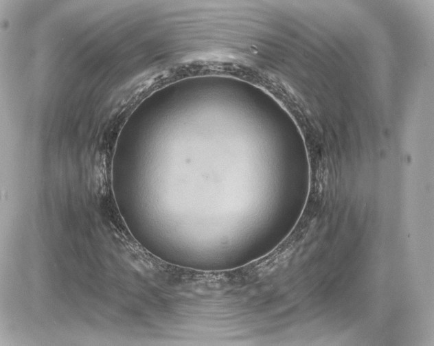 X0000081591062200701221047