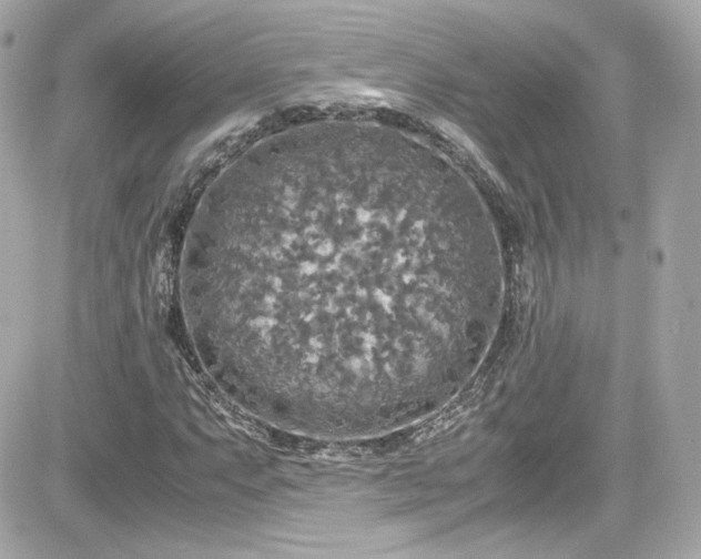 X0000081591063200701221047