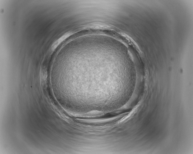 X0000081591065200701221047