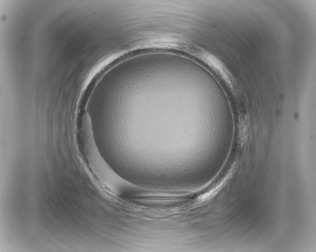 X0000081591077200701221047