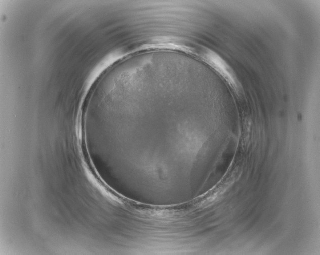 X0000081591084200701221047