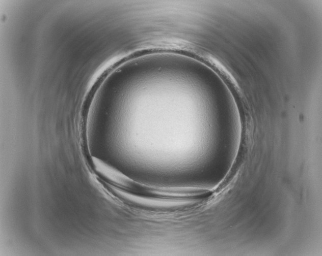 X0000081591085200701221047