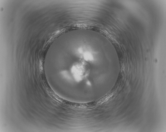 X0000081591106200701221046