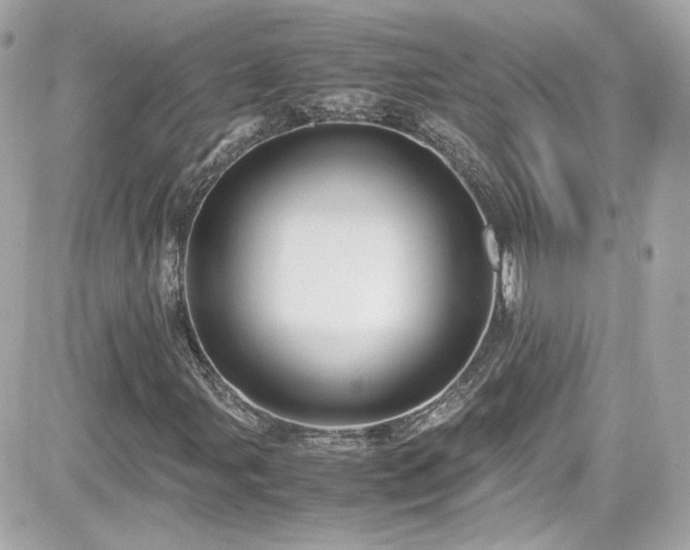X0000081591107200701221046