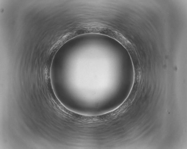 X0000081591108200701221046
