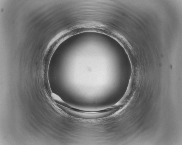 X0000081591114200701221046