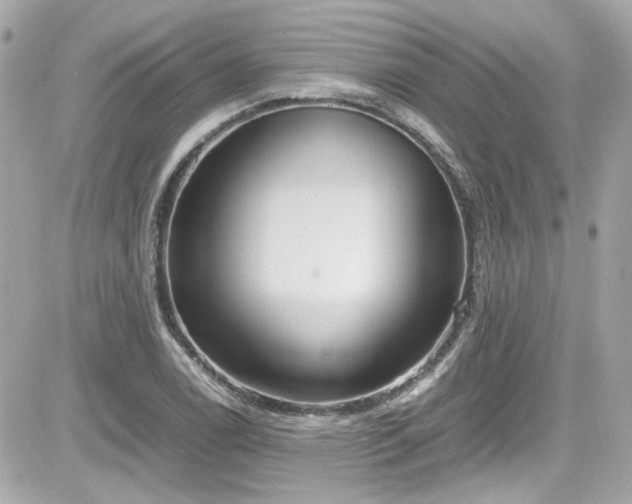X0000081591122200701221046