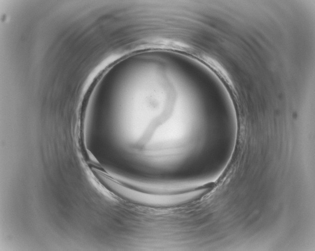 X0000081591136200701221046
