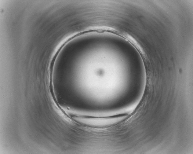 X0000081591140200701221046