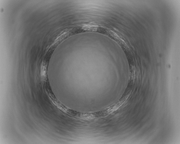 X0000081591154200701221046
