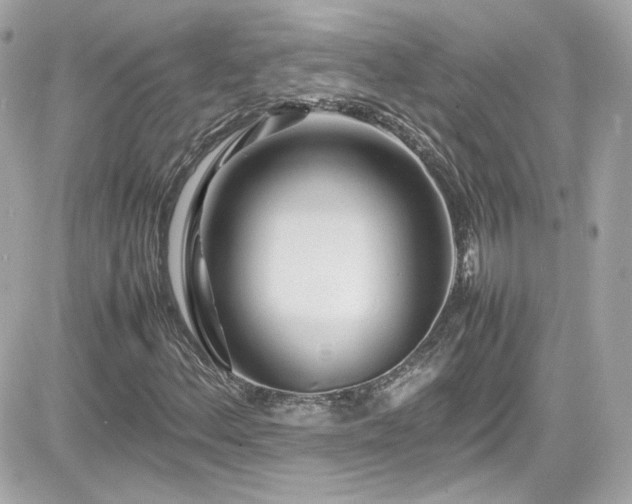 X0000081591156200701221046