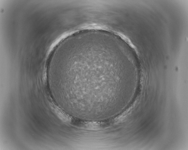 X0000081591167200701221045