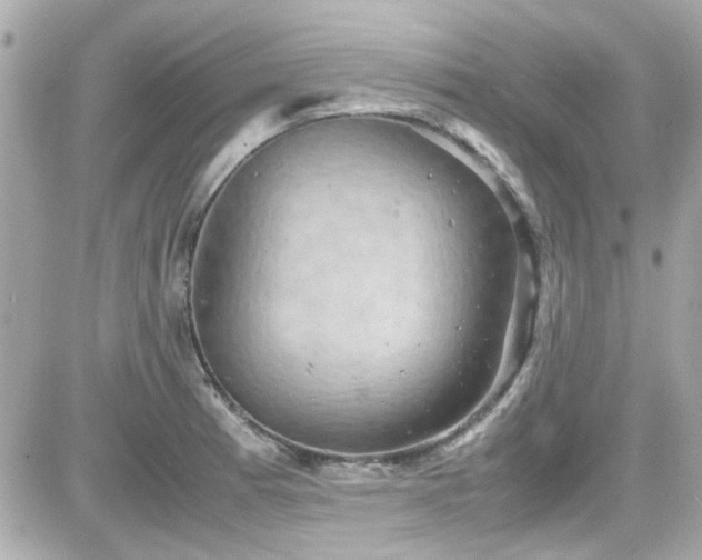 X0000081591185200701221045