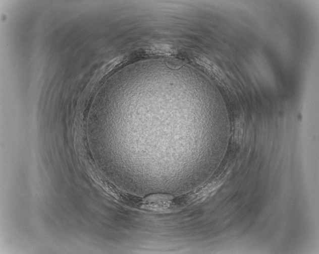 X0000081591201200701221044