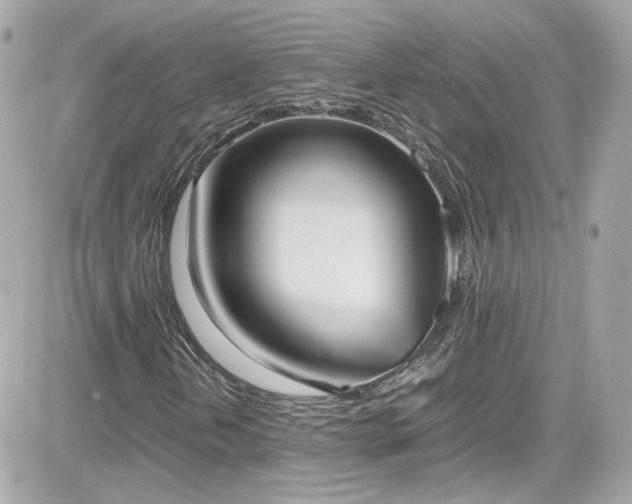 X0000081591202200701221044