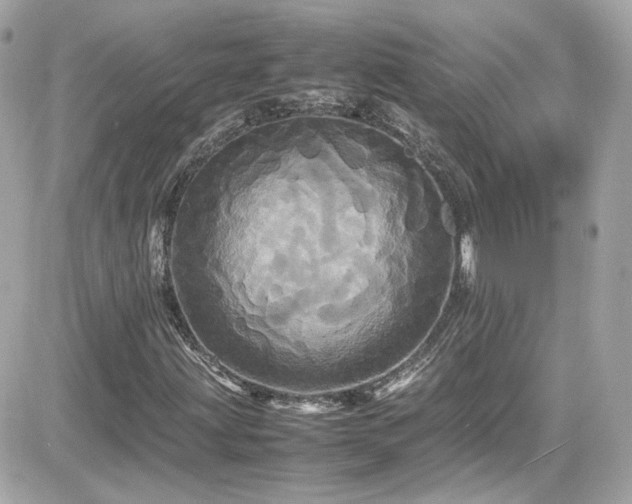 X0000081591203200701221044