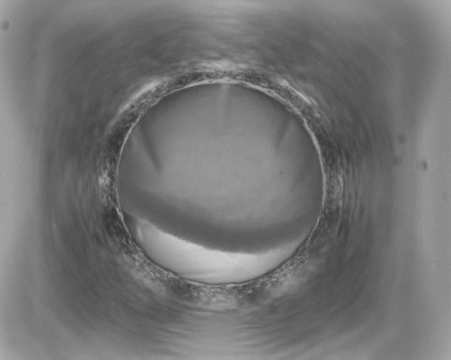 X0000081591254200701221044