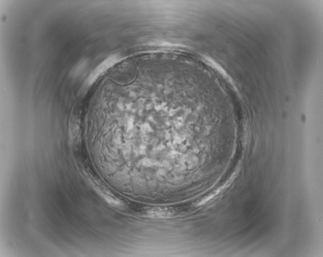 X0000081591259200701221044