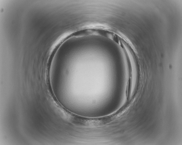 X0000081591277200701221044