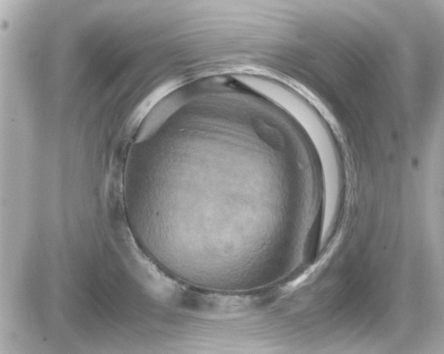 X0000081591289200701221043