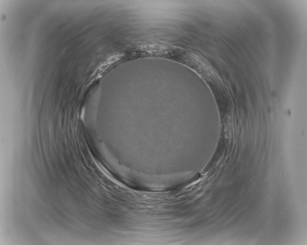 X0000081591298200701221043