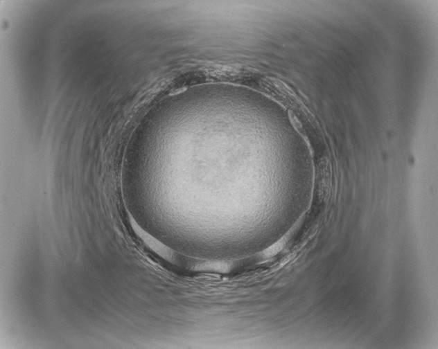 X0000081591345200701221043