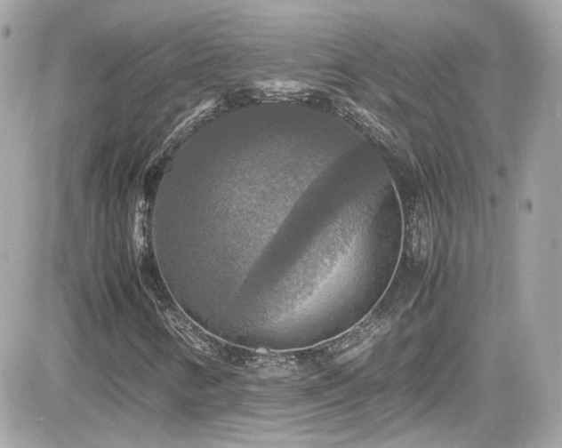 X0000081591346200701221043